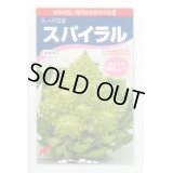 [カリフラワー]　スパイラル　1000粒　渡辺農事
