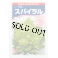 [カリフラワー]　スパイラル　1000粒　渡辺農事