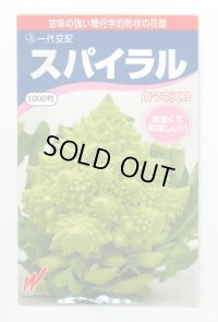 [カリフラワー]　スパイラル　1000粒　渡辺農事