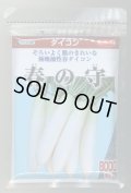 送料無料　[大根]　春の守　8000粒　(株)サカタのタネ