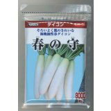 送料無料　[大根]　春の守　8000粒　(株)サカタのタネ