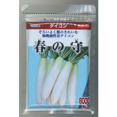 画像1: 送料無料　[大根]　春の守　8000粒　(株)サカタのタネ