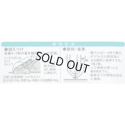 画像2: 送料無料　[スイカ]　オレンジハート　7粒（株）大和農園