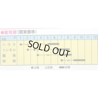 画像2: 送料無料　[瓜類]　NEW早馬　30粒　トキタ種苗（株）