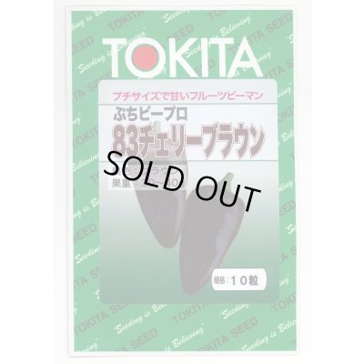 画像1: 送料無料　[ピーマン]　ぷちピープロ83　チェリーブラウン　10粒　トキタ種苗(株)