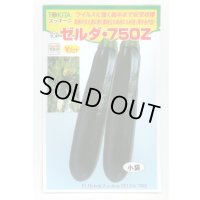 送料無料　[ズッキーニ]　ゼルダ・750Z（TSX-750Z）　100粒　トキタ種苗(株)