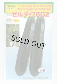 送料無料　[ズッキーニ]　ゼルダ・750Z（TSX-750Z）　100粒　トキタ種苗(株)