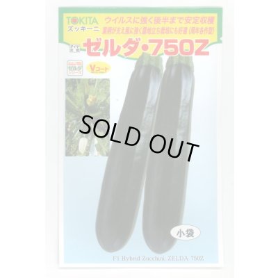 画像1: 送料無料　[ズッキーニ]　ゼルダ・750Z（TSX-750Z）　10粒　トキタ種苗(株)