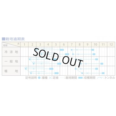 画像3: 送料無料　[白菜]　ロードスター　1ml（約195粒）（株）大和農園