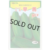送料無料　[瓜類]　NEW早馬　30粒　トキタ種苗（株）