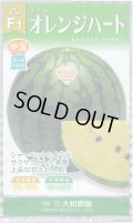 送料無料　[スイカ]　オレンジハート　7粒（株）大和農園
