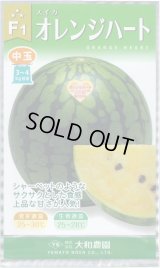 送料無料　[スイカ]　オレンジハート　7粒（株）大和農園