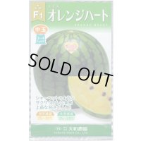 送料無料　[スイカ]　オレンジハート　7粒（株）大和農園