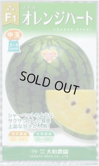 送料無料　[スイカ]　オレンジハート　7粒（株）大和農園