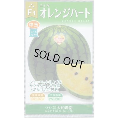 画像1: 送料無料　[スイカ]　オレンジハート　7粒（株）大和農園