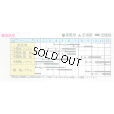 画像3: [ズッキーニ] ゼルダ・750Z（TSX-750Z） 100粒 トキタ種苗(株)