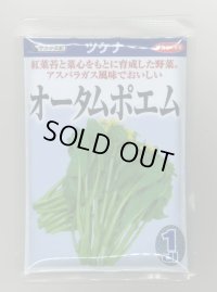 送料無料　[葉物]　オータムポエム　1dl　（株）サカタのタネ