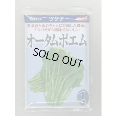 画像1: 送料無料　[葉物]　オータムポエム　1dl　（株）サカタのタネ