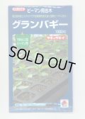 送料無料　[台木/ピーマン用]　グランバギー　1000粒　タキイ種苗(株)