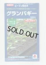 送料無料　[台木/ピーマン用]　グランバギー　1000粒　タキイ種苗(株)