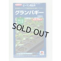 送料無料　[台木/ピーマン用]　グランバギー　1000粒　タキイ種苗(株)