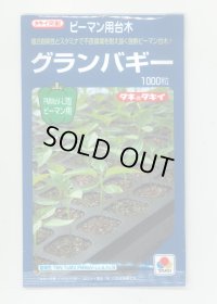 送料無料　[台木/ピーマン用]　グランバギー　1000粒　タキイ種苗(株)