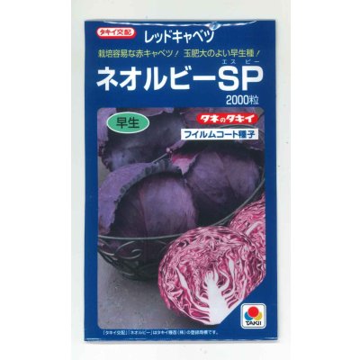 画像1: 送料無料　[キャベツ]　ネオルビーSP　2000粒　タキイ種苗(株)