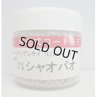[中国野菜]　シャオパオ(ミニチンゲンサイ)　ペレット5000粒　(株)サカタのタネ