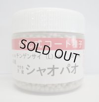 [中国野菜]　シャオパオ(ミニチンゲンサイ)　ペレット5000粒　(株)サカタのタネ
