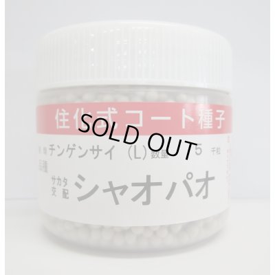 画像1: [中国野菜]　シャオパオ(ミニチンゲンサイ)　ペレット5000粒　(株)サカタのタネ