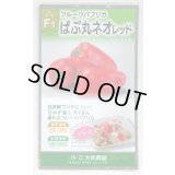 送料無料　[パプリカ]　ぱぷ丸ネオレッド　100粒（株）大和農園　　