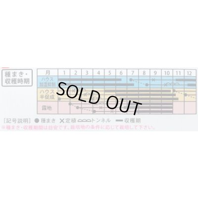 画像3: 送料無料　[パプリカ]　ぱぷ丸ネオイエロー　100粒（株）大和農園　　