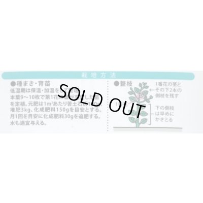 画像2: 送料無料　[なす]　絹皮水　0.5ml 約50粒（株）大和農園