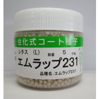 [レタス]　エムラップ231　5000粒　ペレット種子　（株）サカタのタネ