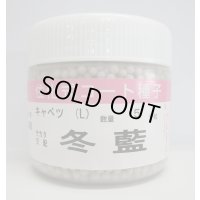 送料無料　[キャベツ]　送料無料　冬藍　コート　5000粒　（株）サカタのタネ