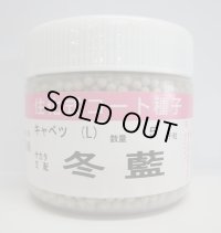 送料無料　[キャベツ]　送料無料　冬藍　コート　5000粒　（株）サカタのタネ