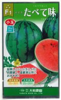 送料無料　[スイカ]　小玉スイカ　たべて味（みい）　7粒　（株）大和農園