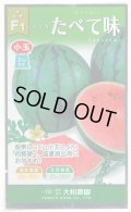送料無料　[スイカ]　小玉スイカ　たべて味（みい）　7粒　（株）大和農園