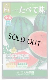 送料無料　[スイカ]　小玉スイカ　たべて味（みい）　7粒　（株）大和農園