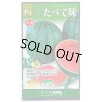 送料無料　[スイカ]　小玉スイカ　たべて味（みい）　7粒　（株）大和農園
