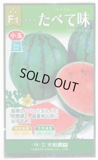 送料無料　[スイカ]　小玉スイカ　たべて味（みい）　7粒　（株）大和農園