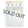 送料無料　[大根]　優春大根　1.5ml（約20粒）　（株）大和農園