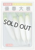 送料無料　[大根]　優春大根　1.5ml（約20粒）　（株）大和農園