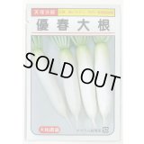送料無料　[大根]　優春大根　1.5ml（約20粒）　（株）大和農園