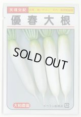 送料無料　[大根]　優春大根　1.5ml（約20粒）　（株）大和農園