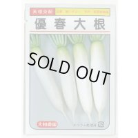 送料無料　[大根]　優春大根　1.5ml（約20粒）　（株）大和農園