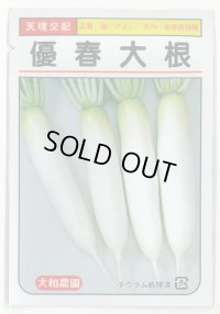 送料無料　[大根]　優春大根　1.5ml（約20粒）　（株）大和農園