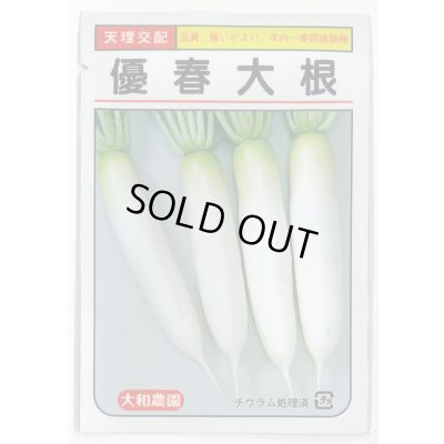 画像1: 送料無料　[大根]　優春大根　1.5ml（約20粒）　（株）大和農園