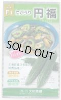 送料無料　[ゴーヤ]　円福　6粒　（株）大和農園