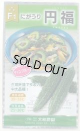 送料無料　[ゴーヤ]　円福　6粒　（株）大和農園